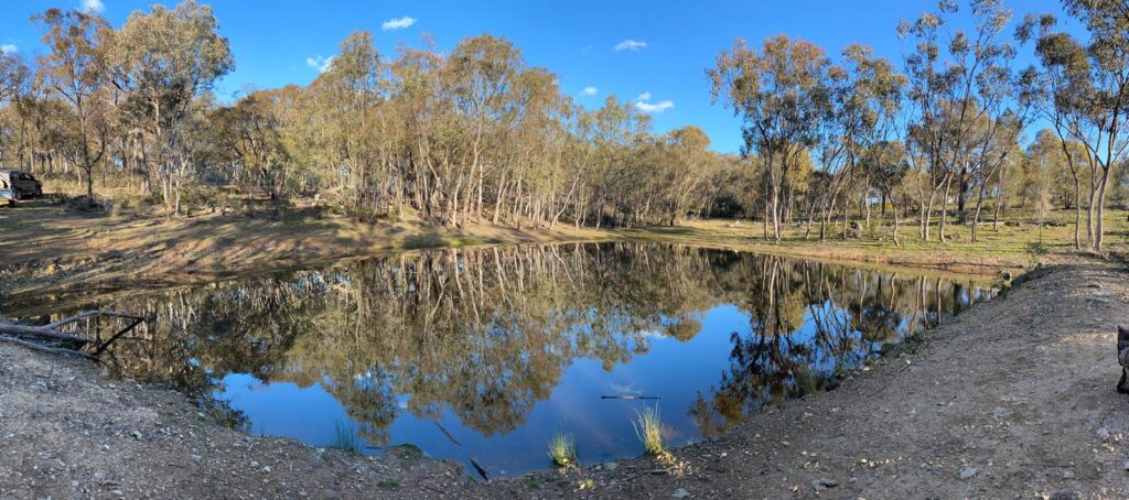 Gallery dam