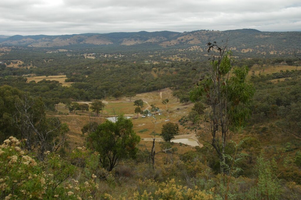 witancare dsc 2882