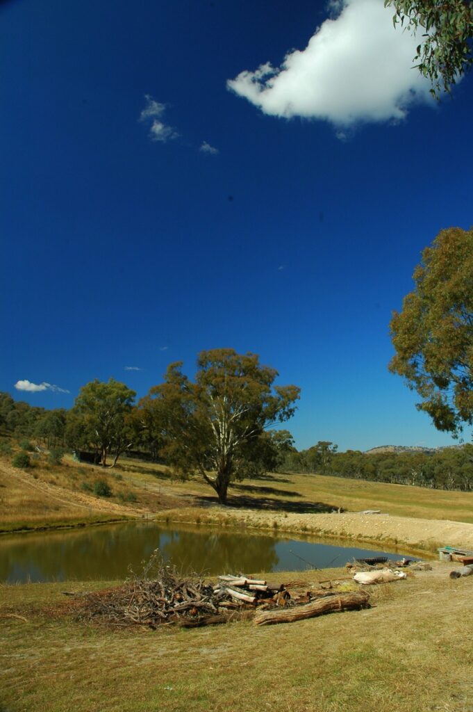 Gallery witancare dsc 3180